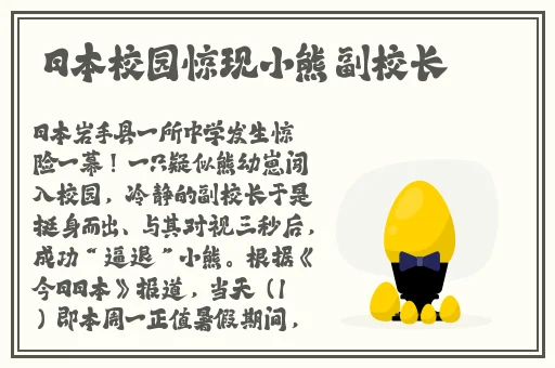 狼群社区视频WWW在线下载